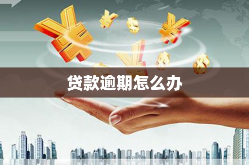 黑水贷款逾期怎么办