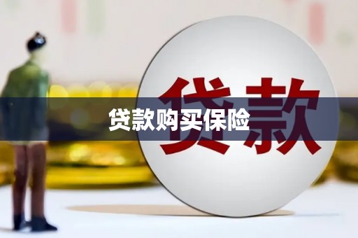 黑水贷款购买保险