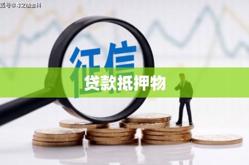 黑水贷款抵押物