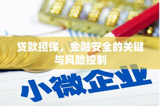 黑水贷款担保，金融安全的关键与风险控制