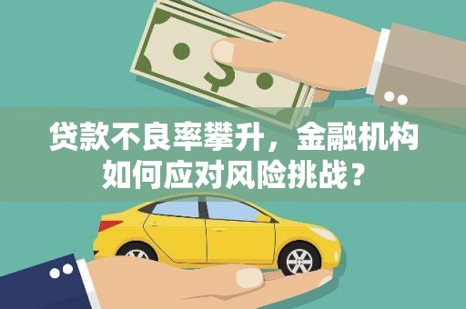 黑水贷款不良率攀升，金融机构如何应对风险挑战？