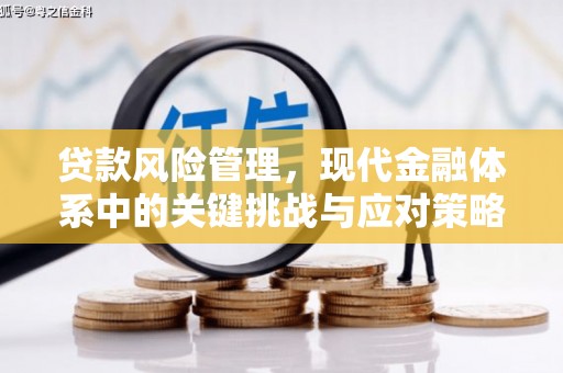黑水贷款风险管理，现代金融体系中的关键挑战与应对策略