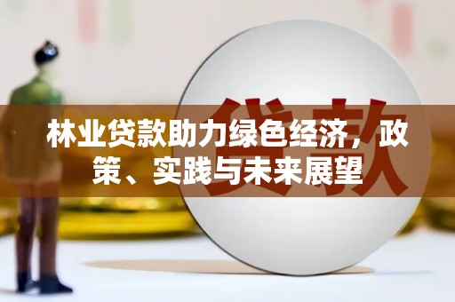 黑水林业贷款助力绿色经济，政策、实践与未来展望