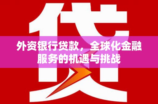 黑水外资银行贷款，全球化金融服务的机遇与挑战