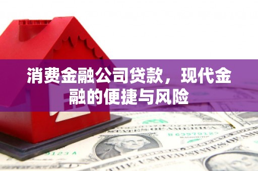黑水消费金融公司贷款，现代金融的便捷与风险