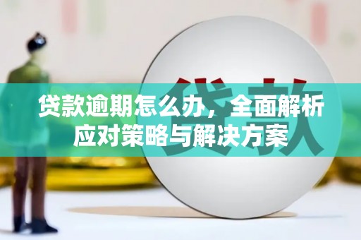 黑水贷款逾期怎么办，全面解析应对策略与解决方案