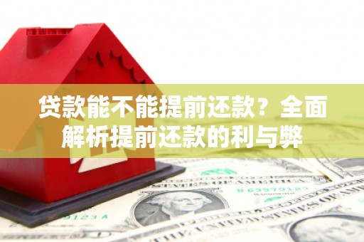 黑水贷款能不能提前还款？全面解析提前还款的利与弊