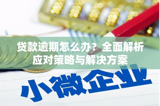 黑水贷款逾期怎么办？全面解析应对策略与解决方案
