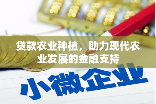 黑水贷款农业种植，助力现代农业发展的金融支持