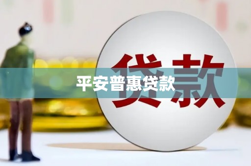 黑水平安普惠贷款